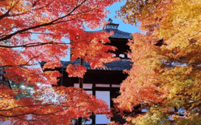 12月―旅行的感悟