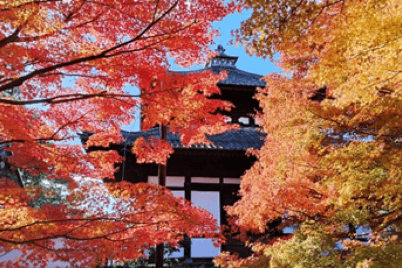 12月―旅行的感悟