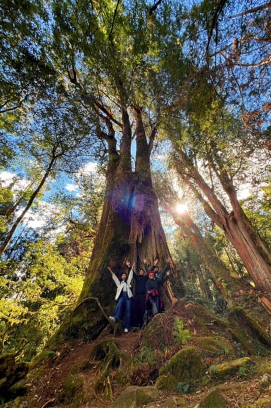7月―從大罷免反思人生的逆境與關係的對立