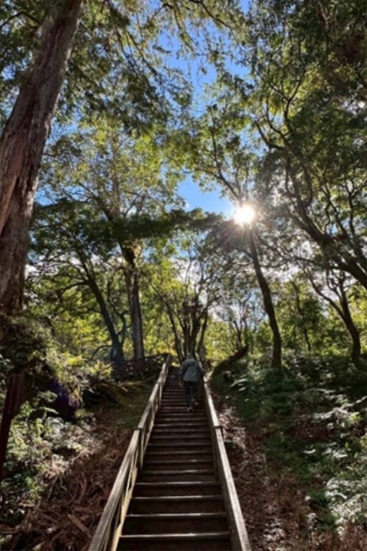 7月―從大罷免反思人生的逆境與關係的對立