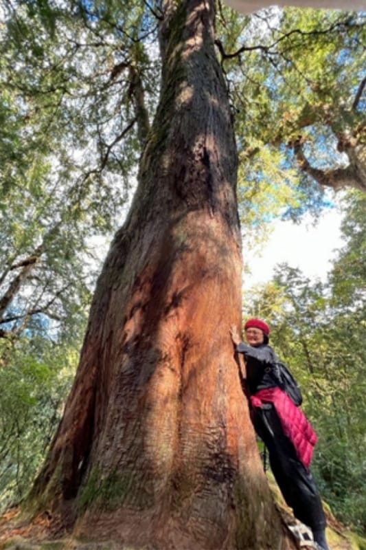 7月―從大罷免反思人生的逆境與關係的對立